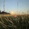 isaacsatterfield3 - @isaac.satterfield - TikTok