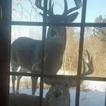 Isaac Saylor - @saylor_isaac - Instagram