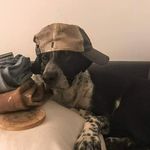 Isaac Schafer - @thelordbeezy - Instagram