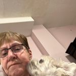 Wendy Schafer Isaac - @wendyschaferisaac - Instagram