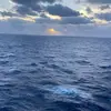 isaacschofield0312 - @isaac.schofield3 - TikTok