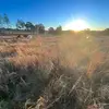 Isaac Schubert - @isaac.schubert8 - TikTok