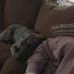 Isaac Sharp - Facebook
