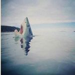 Isaac Sharp - @sharpi2004 - Instagram
