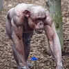 isaac_m_sheets7 - @isaac_m_sheets7 - TikTok
