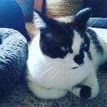 Isaac sheppard - @isaacsheppard45 - Instagram