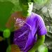 Isaac Sims - Facebook