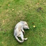 Isaac Slater - @09isaacs - Instagram