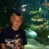 isaac smith - @__isaacsmith - TikTok