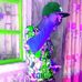 Isaac Scooper - Facebook