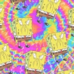 Isaac Spear - @isaac.sp4942 - Instagram