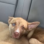 Isaac Spears - @isaacspears68 - Instagram