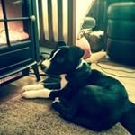 Isaac Speelman - @isaac.speelman - Instagram
