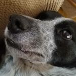 Isaac Springer - @isaac_french102 - Instagram