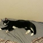 isaac stark - @isaac4422 - Instagram