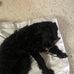 Isaac Stephens - Facebook