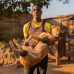 Isaac__street__dogs - @isaac_street_dog - Instagram