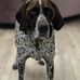 Isaac Thorp - Facebook