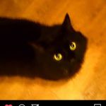 Isaac Thornton - @luke5688 - Instagram