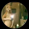 Isaac_valentin56 - @isaac_valentin56 - TikTok