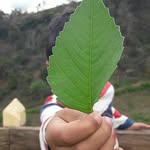 isaac velez - @isaacvelro - Instagram