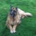 Beth Waldron - Facebook