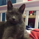 Isaac Waldron - @isaacwaldron26 - Instagram