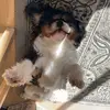 i walton - @isaacwalton2405 - TikTok