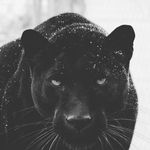 Isaac Weaver - @flip174 - Instagram