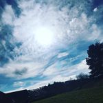 Isaac Whitehead - @isaac_123158 - Instagram