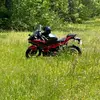 Isaac Willard - @isaac.willard88 - TikTok