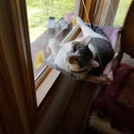 Willard R. Isaacs - @willard.r.isaacs - Instagram