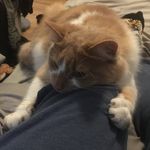 Isaac Winters - @winters_tattoos - Instagram