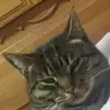 isaac_wright - @isaac_wright - TikTok