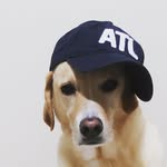Isaac Zhang - @yellowdog789 - Instagram