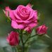 Isabel Abarca - Facebook