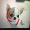 Isabel - @isabel.abarca756 - TikTok