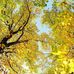 Isabel Abraham - Facebook