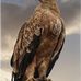 Isabel Aitken - Facebook