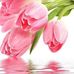 Isabel Alamillo - Facebook