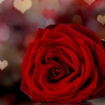 Maria Isabel Alanis - @maria_isabel_alanis - Instagram