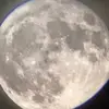 isabel ali - @isabel.ali7 - TikTok