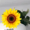 ISABEL  ALMENDAREZ - @isabel.almendarez0 - TikTok
