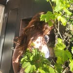 Isabel Alvarellos - @isabelalvarellos - Instagram