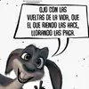 Isabel Amaya - @isabelamaya31 - TikTok