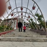 Isabel Aniceto - @aniceto2474 - Instagram