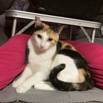 Maria Isabel Aniceto - @mariaisabelaniceto - Instagram