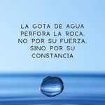Silvia Isabel Aniceto Alvarado - @isabelanicetoalvarado - Instagram