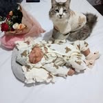 Isabel Araiza - @isab_el2928 - Instagram