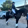 Isabelia Arguello - @isabeliarguello - TikTok